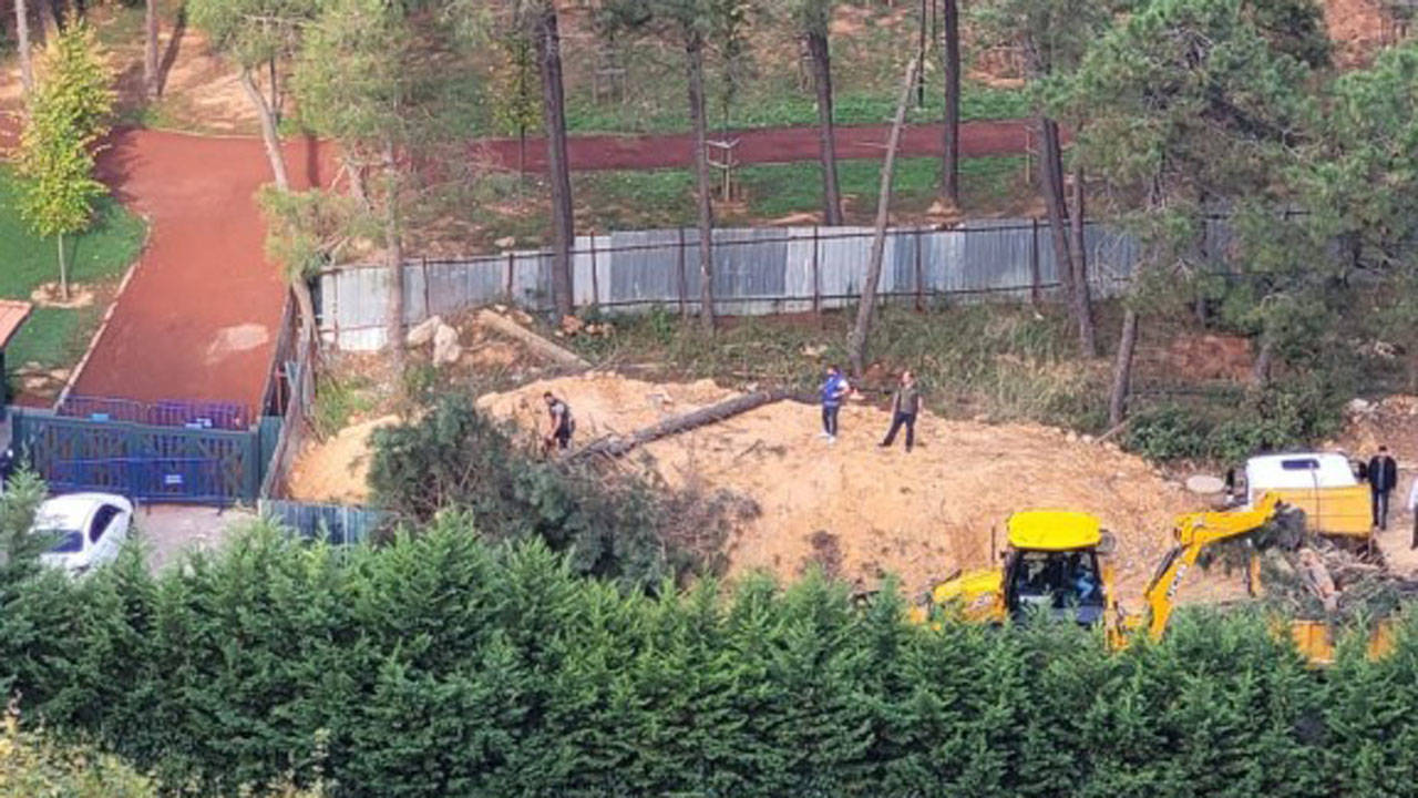 Millet Bahçesi için ağaç kesimi devam ediyor