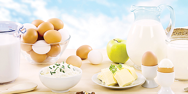 TÜİK: Yumurta, peynir, içme sütü üretimi arttı, tavuk eti üretimi azaldı