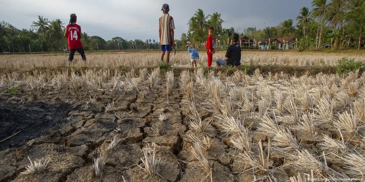 BM'den uyarı: Dünya verimli arazilerini kaybediyor