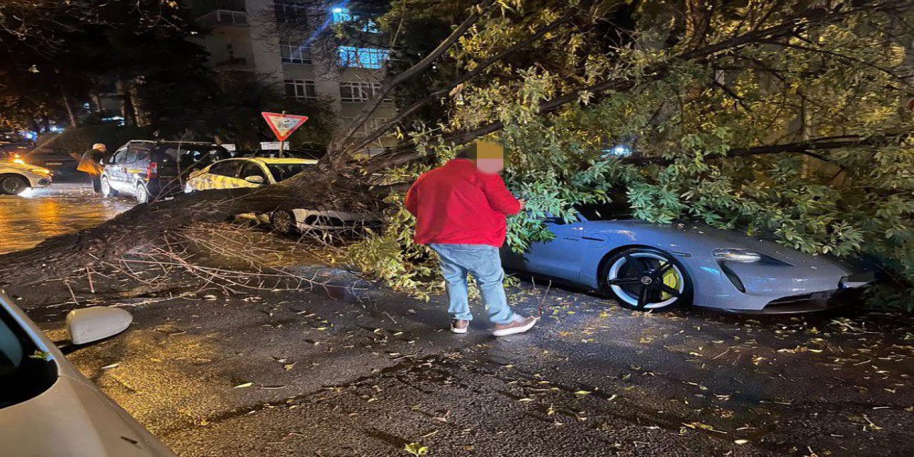Ankara'da rüzgardan lüks aracın üzerine ağaç devrildi