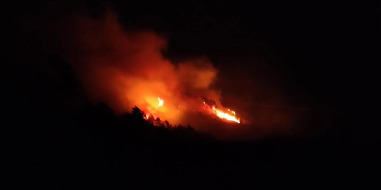 Trabzon'da orman yangını nedeniyle 17 ev boşaltıldı