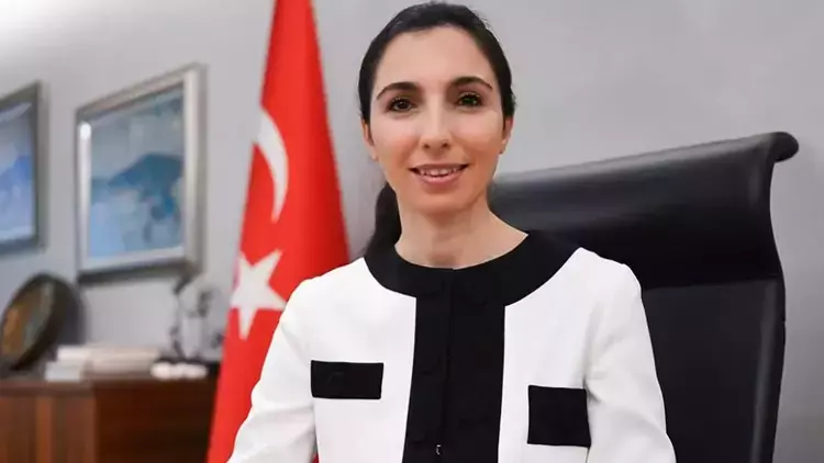Kulis: Hafize Gaye Erkan'ın istifasını kim istedi?