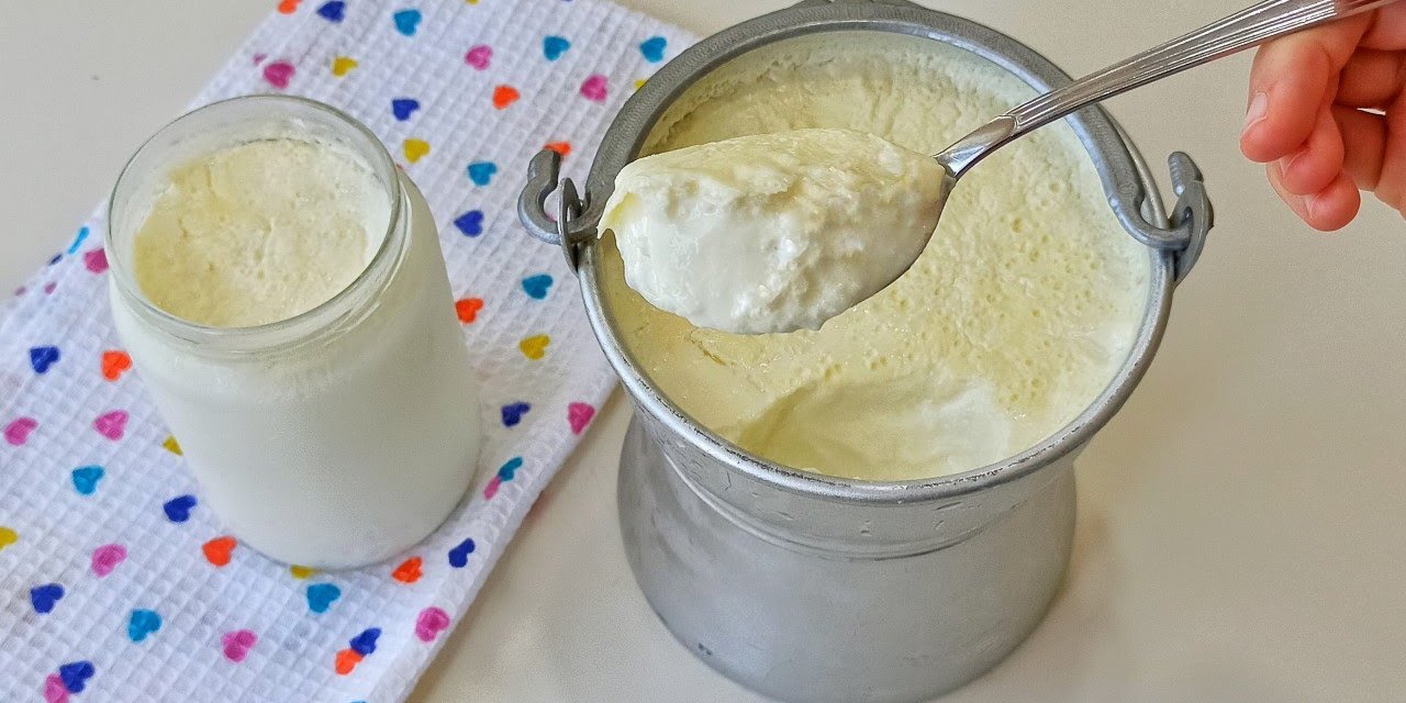 Yoğurdun lezzetli olmasını sağlıyor... Taş gibi yoğurt mayalamanın püf noktası