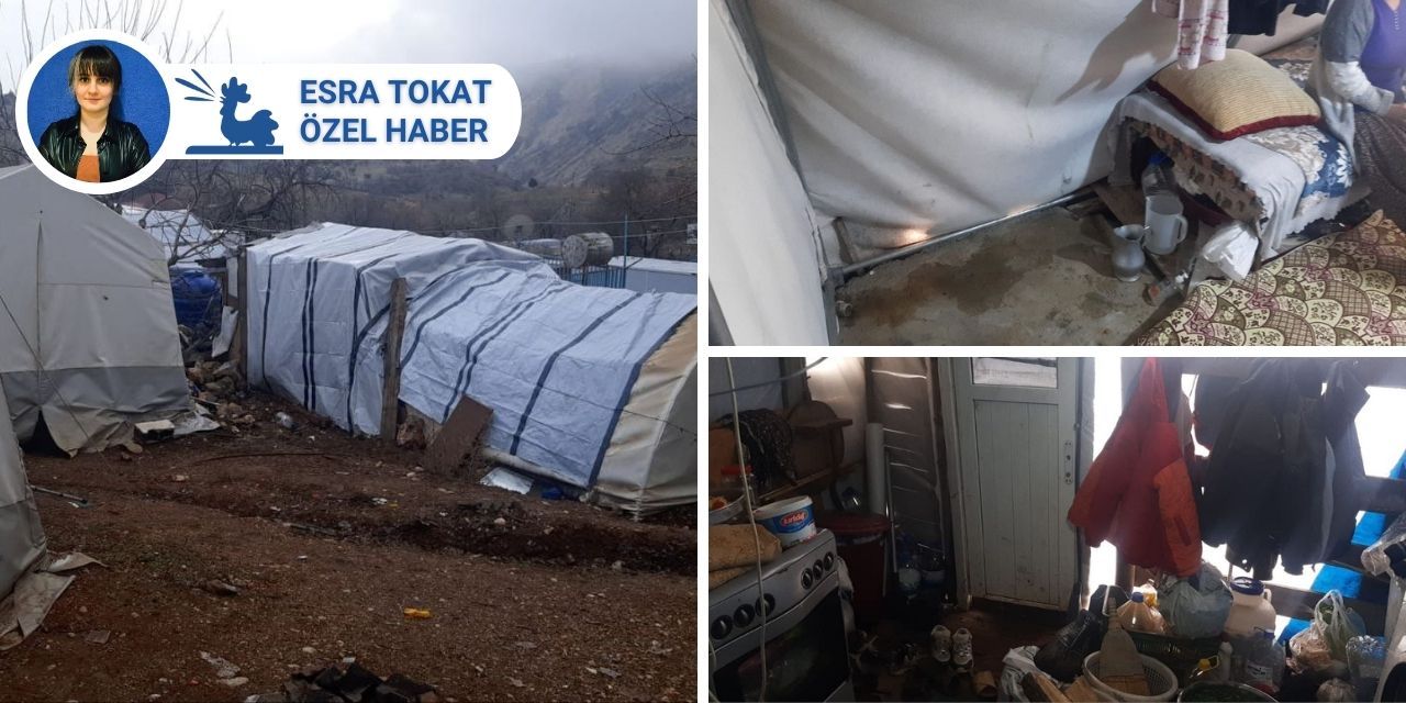 Depremin yıldönümünde Adıyaman’da bir köy: Hayvanlar soğuktan ölüyor, insanlar çadırda