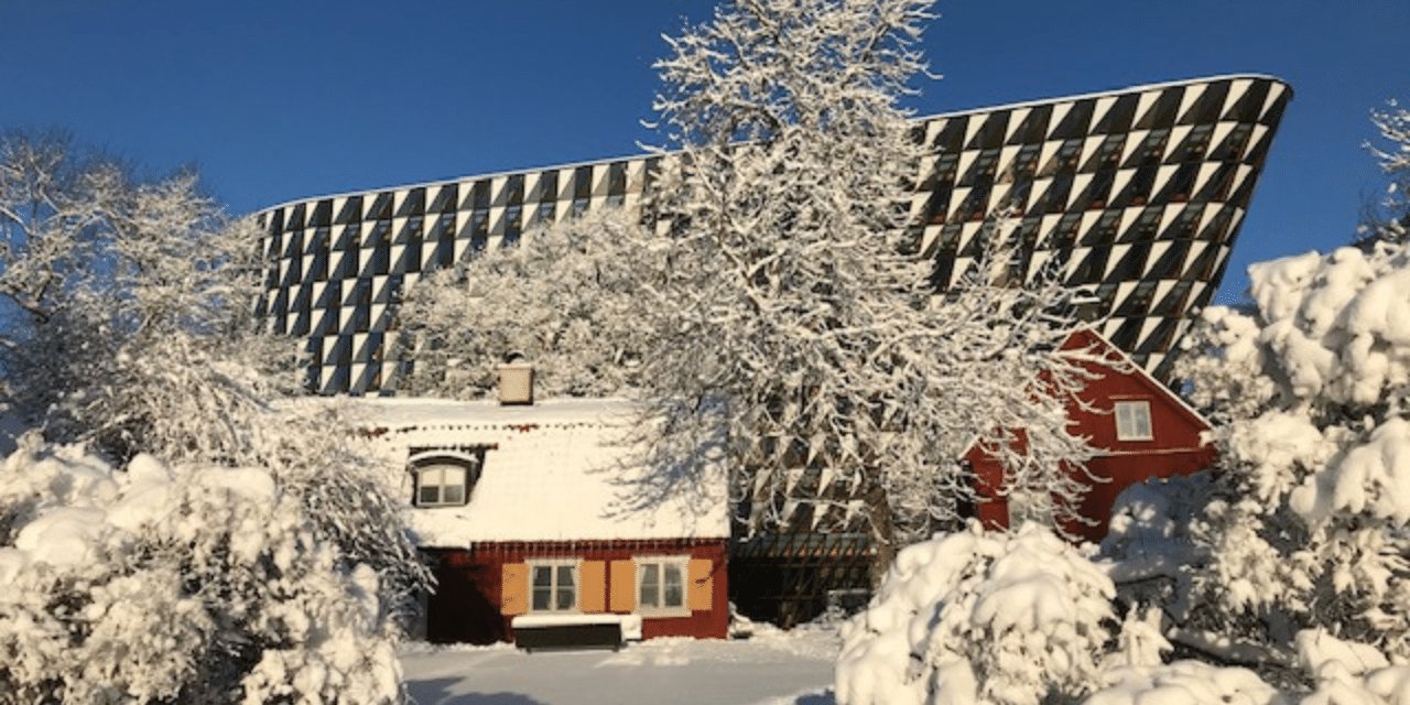İsveç Üniversitesi’nde dondurucu arızalanınca, onlarca yıllık araştırma yok oldu