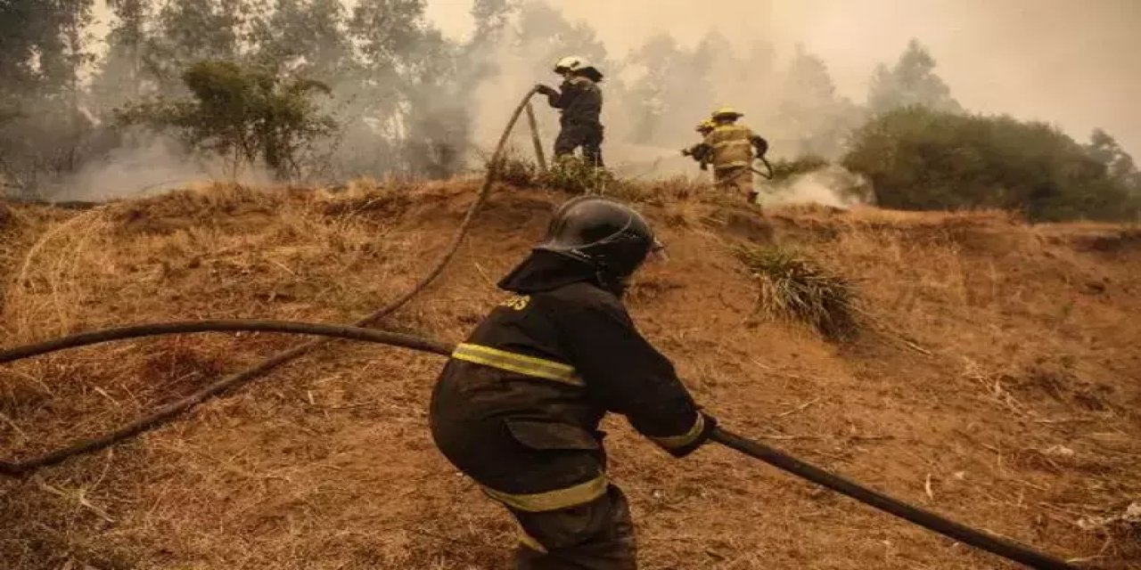 Şili'de orman yangınında ölenlerin sayısı 131'e yükseldi