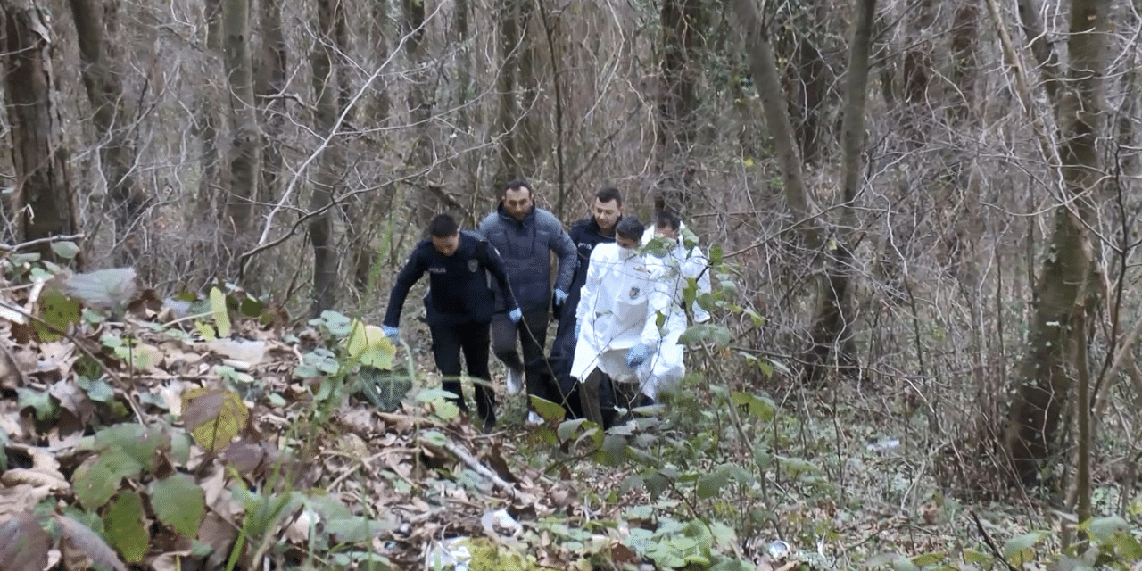 Belgrad Ormanı'nda ağaca bağlanmış erkek cesedi bulundu