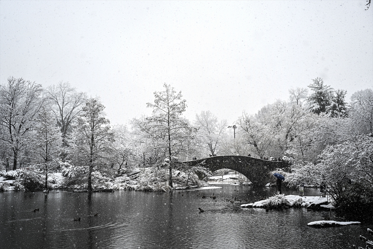 New York kara teslim ancak karın keyfi Central Park'ta çıktı