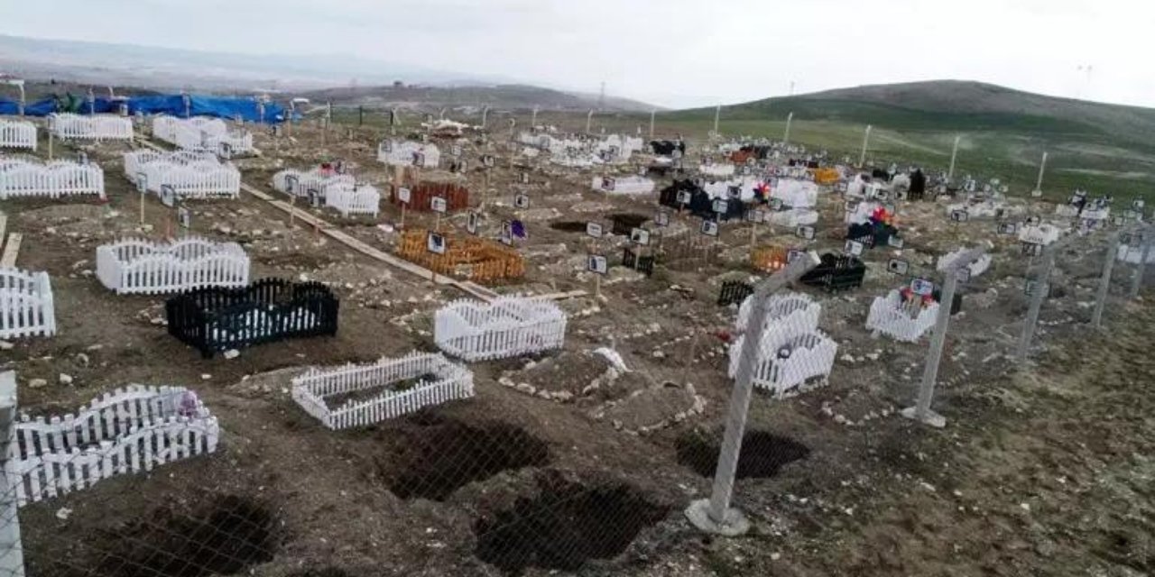 CİMER'e yapılan 'hayvan mezarlığı' şikayetinde gerekçe: 'Arazimizin değeri düşüyor'