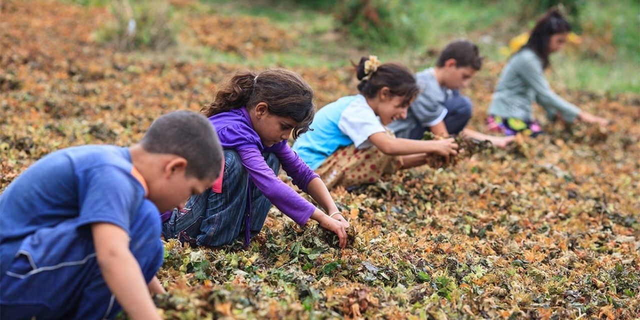 İSİG: Son 10 yılda 671 çocuk işçi yaşamını yitirdi
