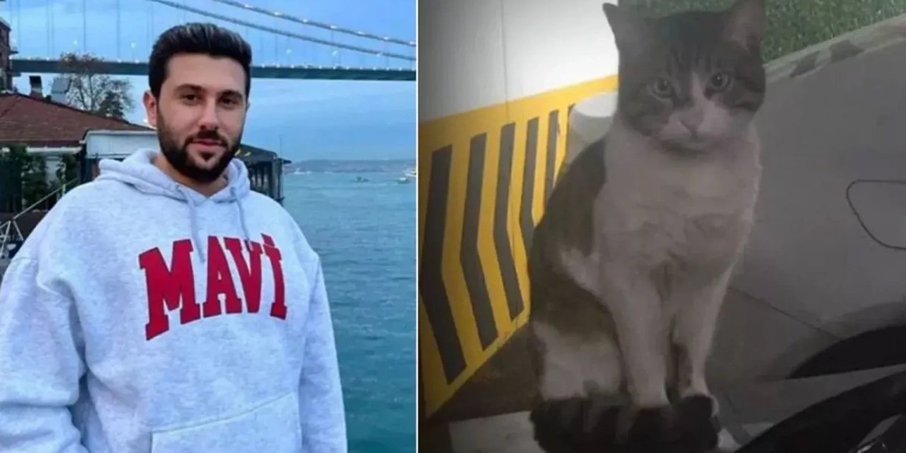 İşkence edilerek öldürülen kedi Eros'un davası: Sanığa 3 yıl hapis verildi , iyi hal indirimi uygulandı