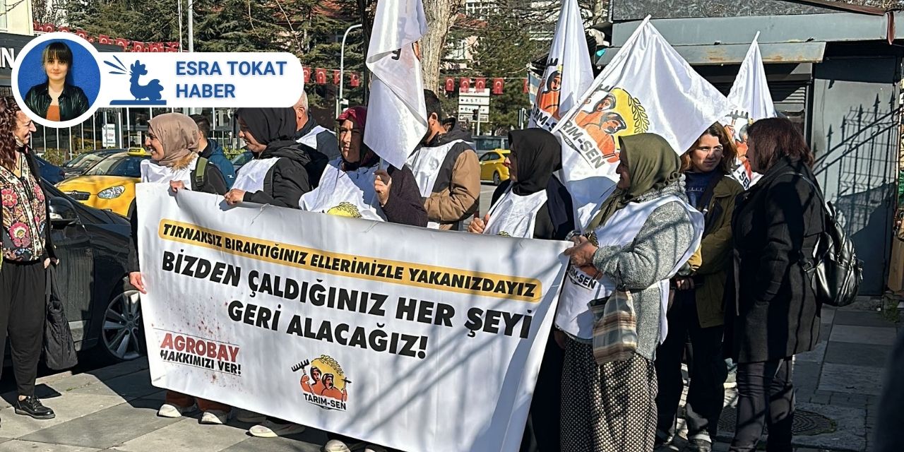 7 aydır direnen Agrobay işçileri Ankara'da: Hakkımızı almadan gitmeyeceğiz