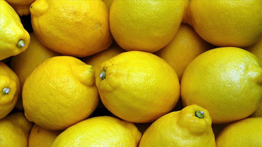 Limonlarda yasaklı madde tespit edildi, Bulgaristan geri çevirdi