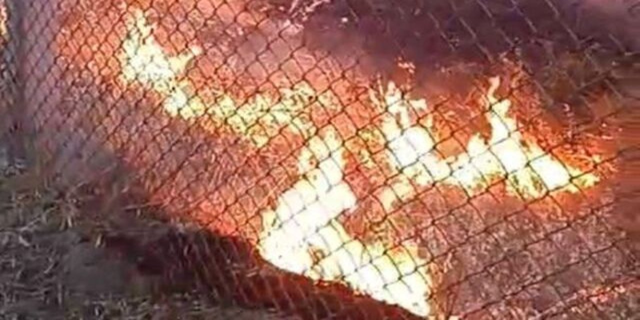 İzmir'de çıkan orman yangını söndürüldü