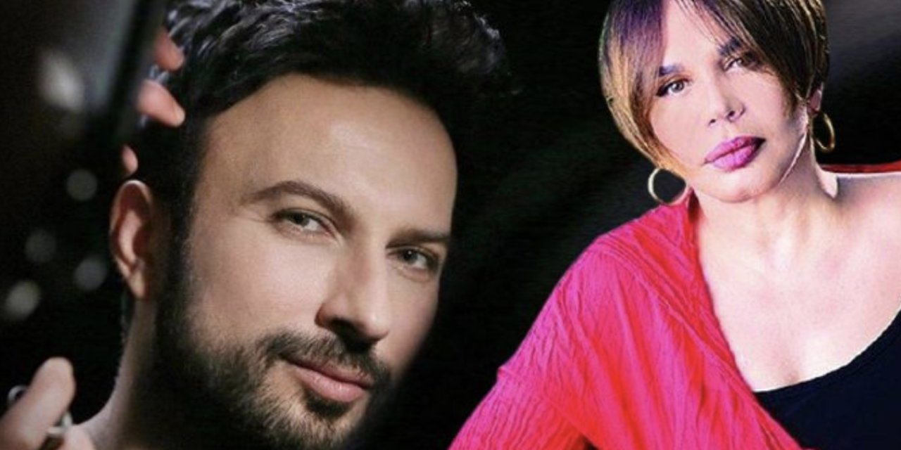 Sezen Aksu ve Tarkan'dan sokak hayvanları tasarısına tepki