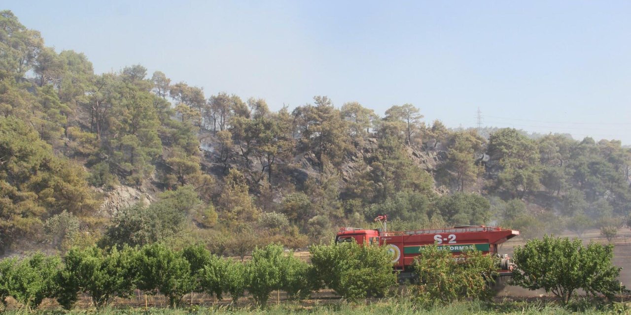 Çanakkale'de ormanlara girişler yasaklandı