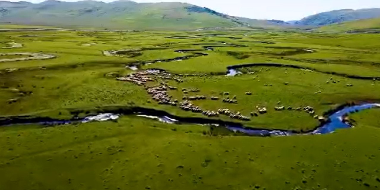 Ordu'da madenciliğe karşı panel