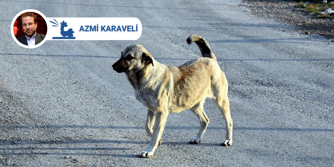 Yetmez ama öldürün köpekleri!