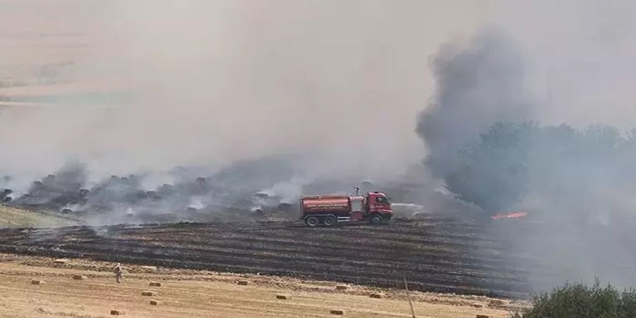 Manisa'da yangında 100 dönüm tarım arazisi zarar gördü