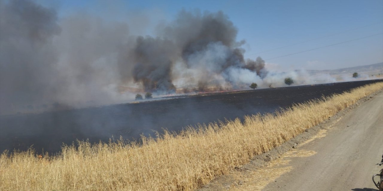 Kahramanmaraş'ta buğday tarlasında yangın: 150 dönüm zarar gördü