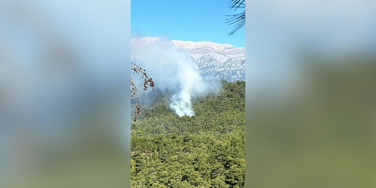 Antalya'da orman yangını