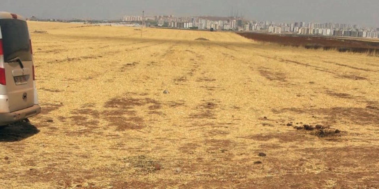 12 kardeşin 10 bin dönüm arazi kavgası: 4 cinayet