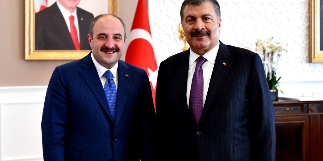 AKP'deki sokak hayvanları tartışması Bakan Koca'ya geri adım attırdı