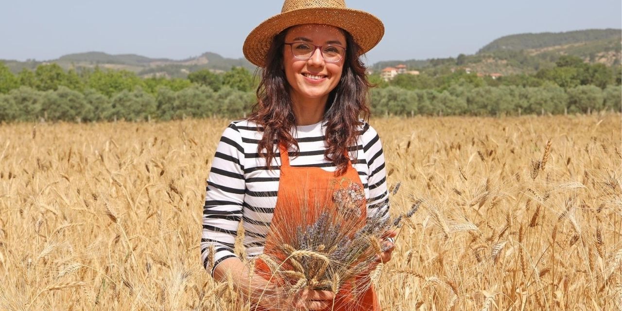 Menteşe'de karakılçık buğdayı üretimi yeniden hızlanıyor