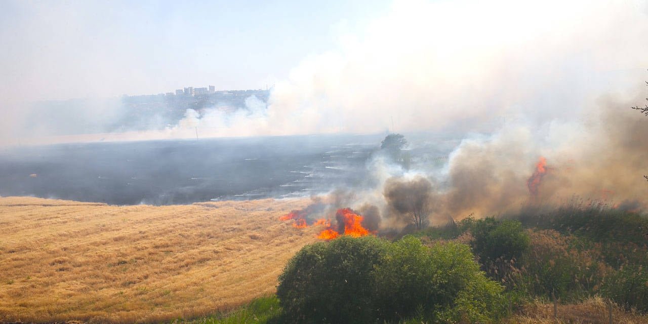 Diyarbakır'da buğday ekili arazide yangın: 300 dönüm zarar gördü