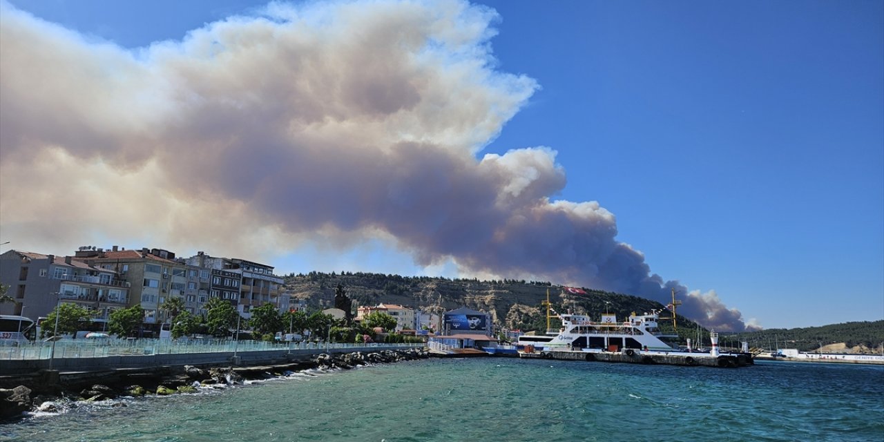 Çanakkale'de orman yangını: Bir köy boşaltıldı