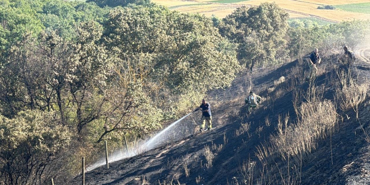 Silivri'de ormana sıçrayan anız yangını söndürüldü