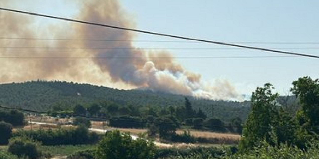 Çanakkale'de orman yangını