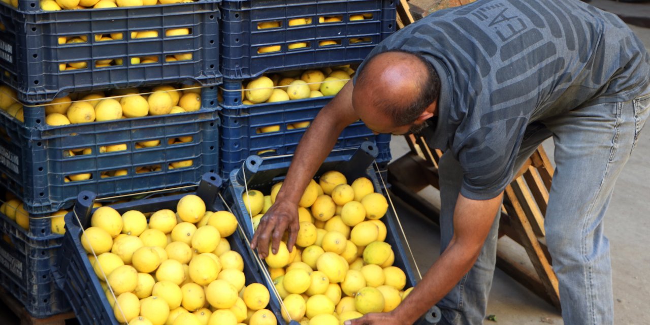 Limonun marketlerdeki fiyatı 90 lirayı buldu