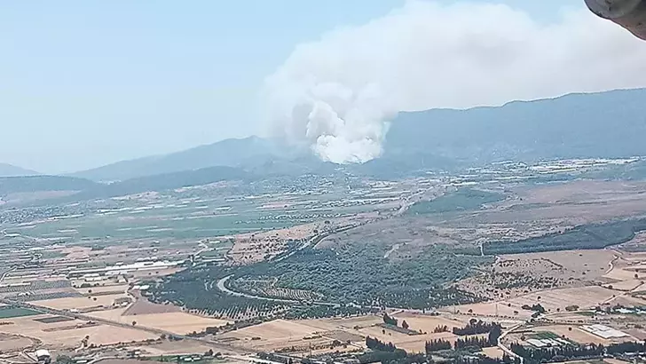 Menderes'te orman yangını, evler tahliye edilmeye başlandı