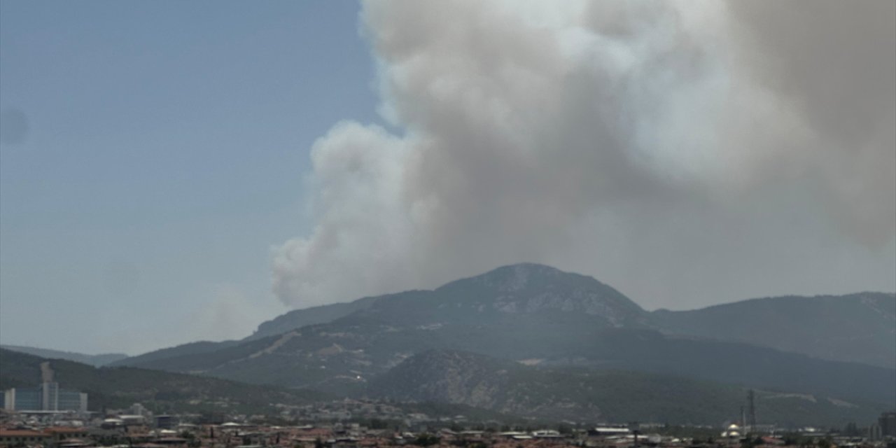 Bornova'da orman yangını: 2 mahalle boşaltıldı