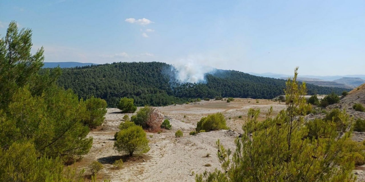 Balıkesir'de 2 ilçede orman yangını çıktı