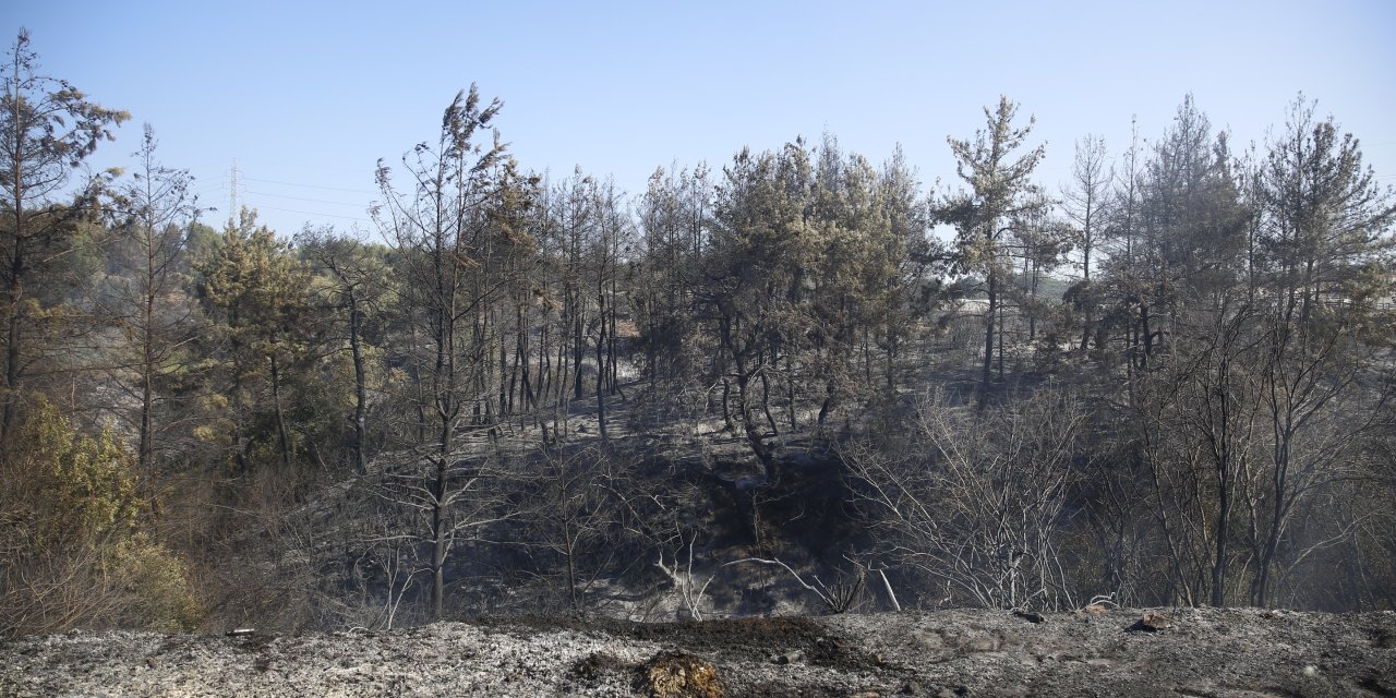 Antalya'da çıkan yangınlar söndürüldü
