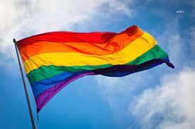 TİHV: 2020'de LGBTİ gösterilerinde 164 kişi gözaltına alındı