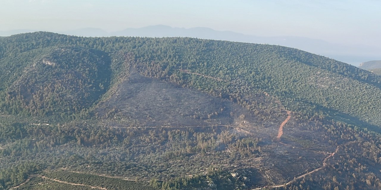 Bodrum'daki orman yangını 18 saat sonra kontrol altında