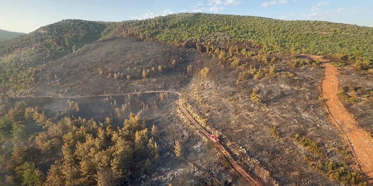 Muğla Valisi Akbıyık: Muğla'da bu yıl 178 yangın çıktı