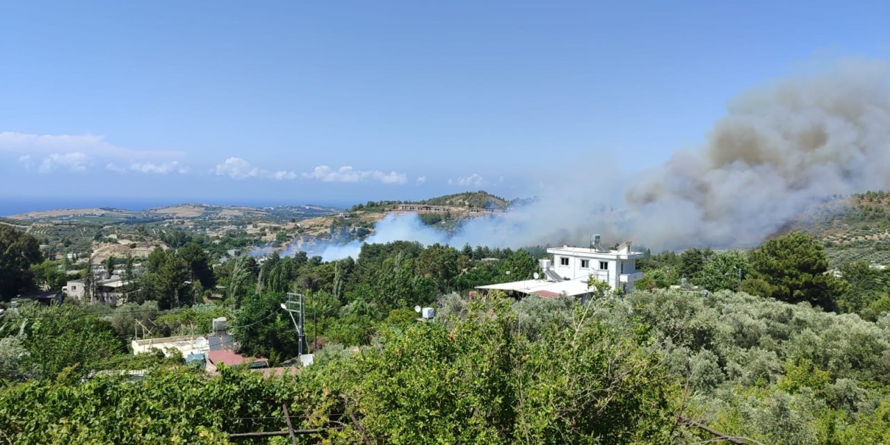 Hatay'da orman yangını