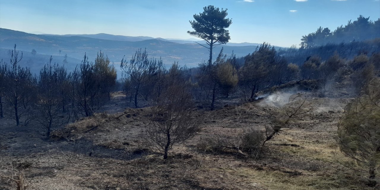 Bakan Yumaklı: Manisa’daki orman yangını kontrol altına alındı