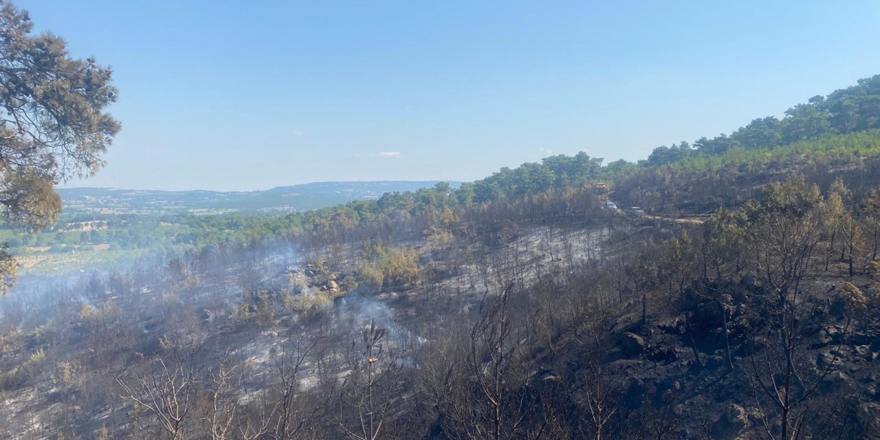 Ayvacık'taki orman yangını 18,5 saat sonra kontrol altına alındı