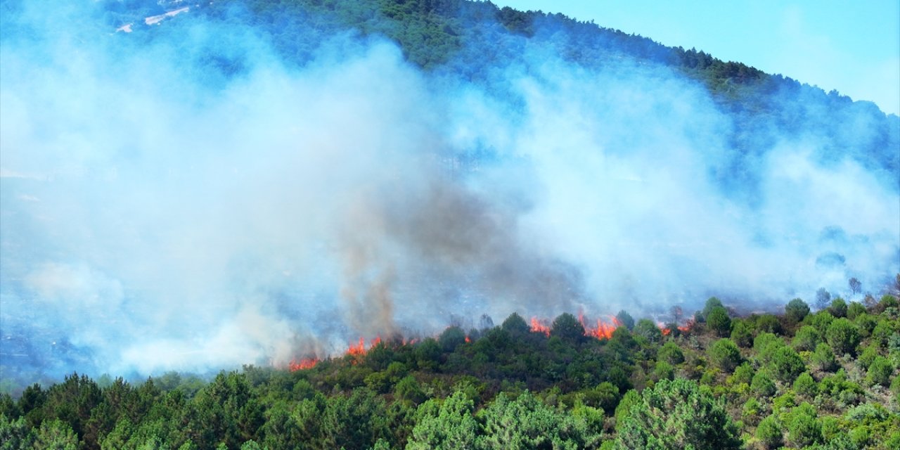 Aydos Ormanı'nda yangın