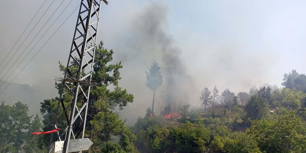 Köyceğiz'de evde çıkan yangın ormana sıçradı