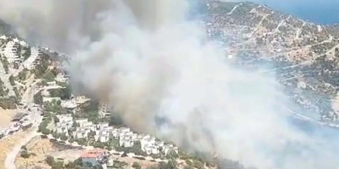 Dikili'de orman yangını: 1 site boşaltıldı