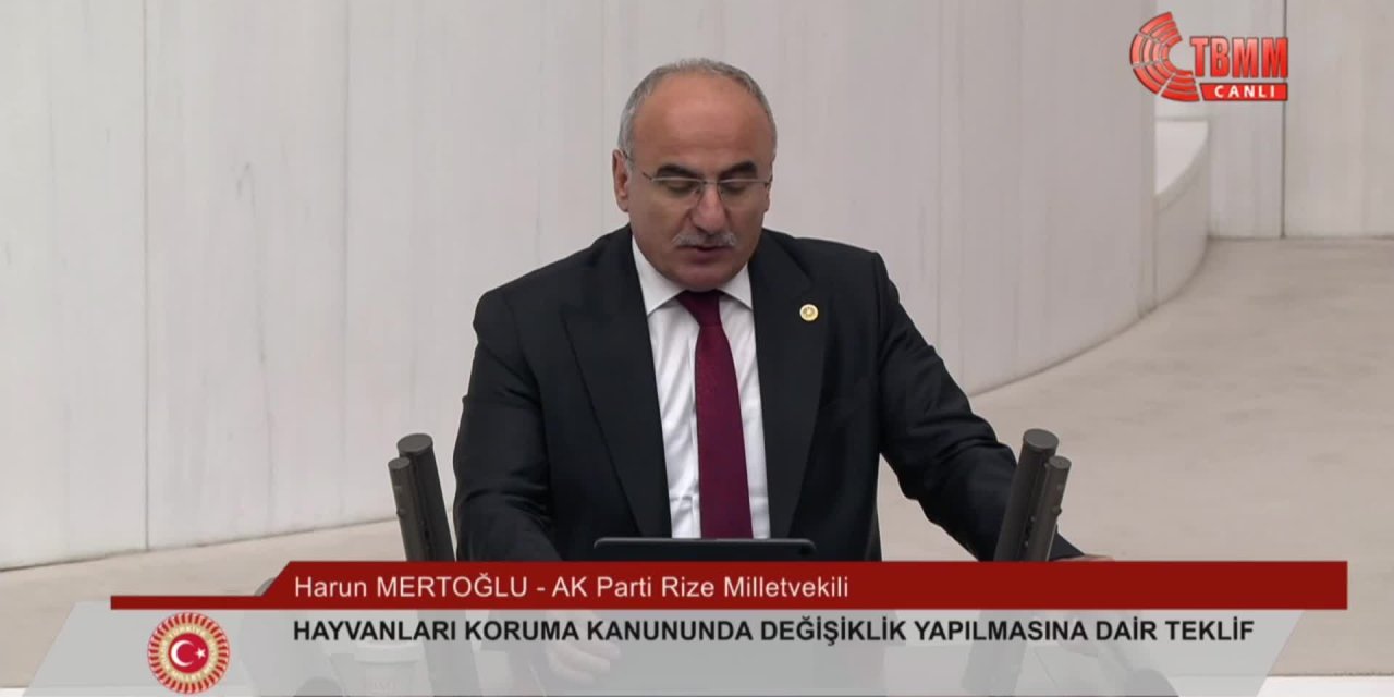 AKP'li vekil 'kısırlaştırmaya' karşı çıktı: Kendilerinin izni olmadan...