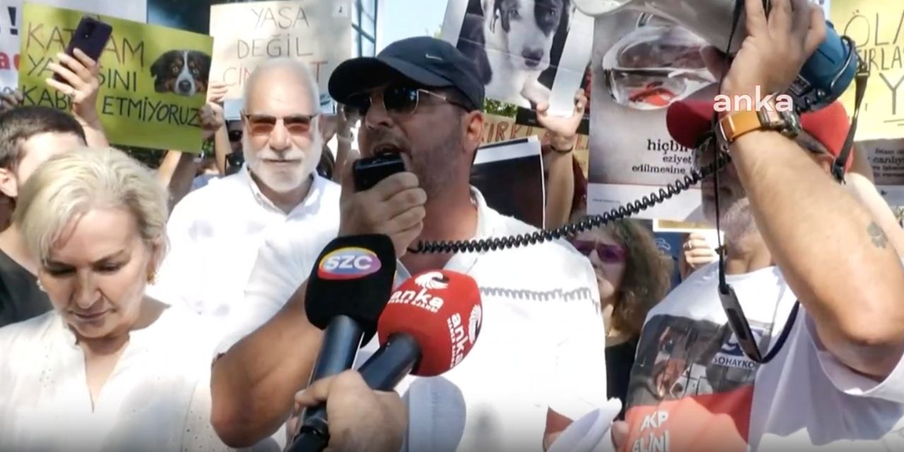 Sokak hayvanları için açlık grevine başlayan yüzücüye valilik yasağı