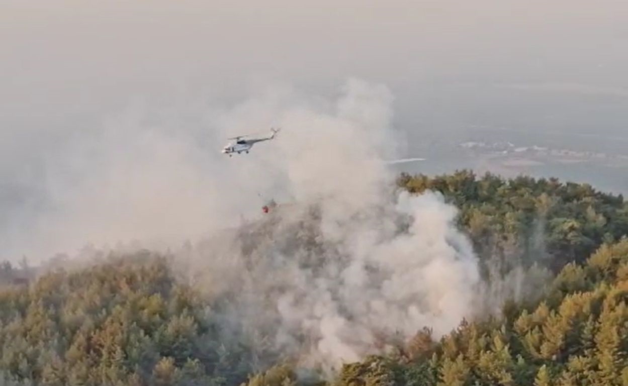 Aydın'daki orman yangınında 2’nci gün