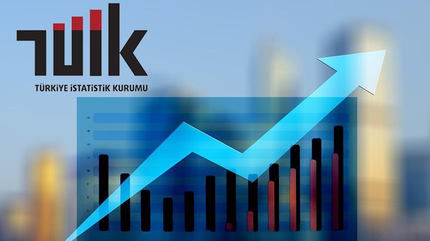 TÜİK: Aylık en yüksek reel getiri BIST 100 endeksinde oldu